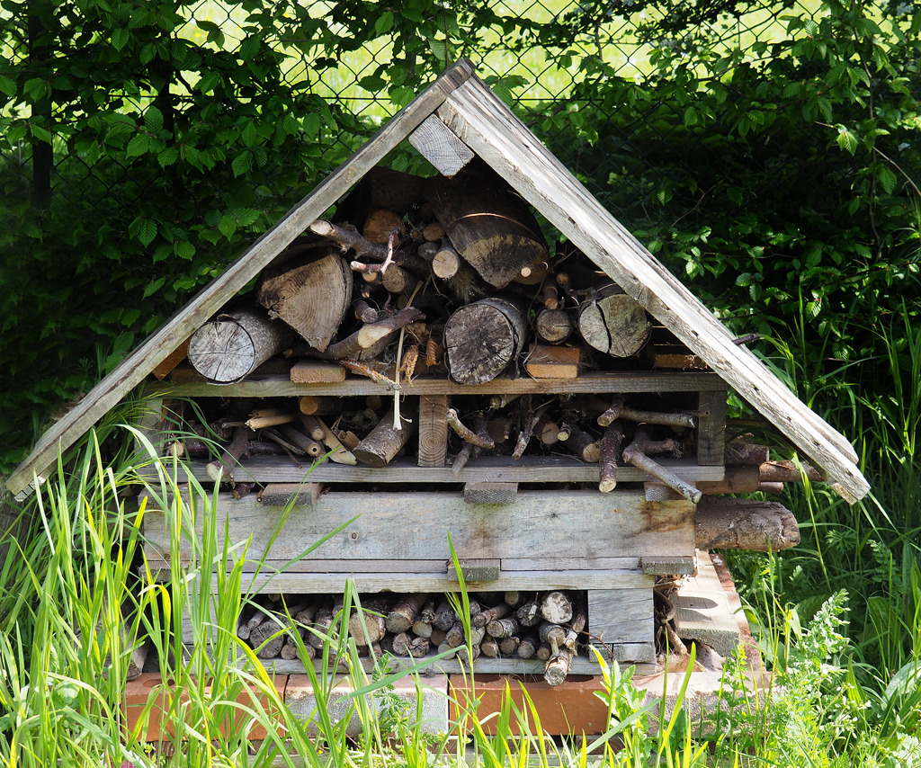 Bug Hotel